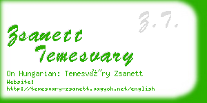 zsanett temesvary business card